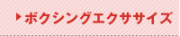 ボクシングエクササイズ